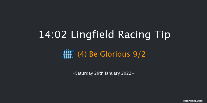 Lingfield 14:02 Handicap (Class 5) 8f Fri 28th Jan 2022