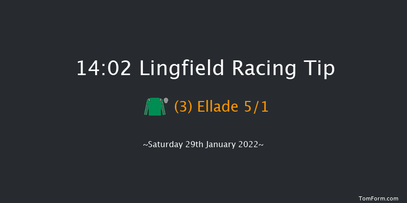 Lingfield 14:02 Handicap (Class 5) 8f Fri 28th Jan 2022