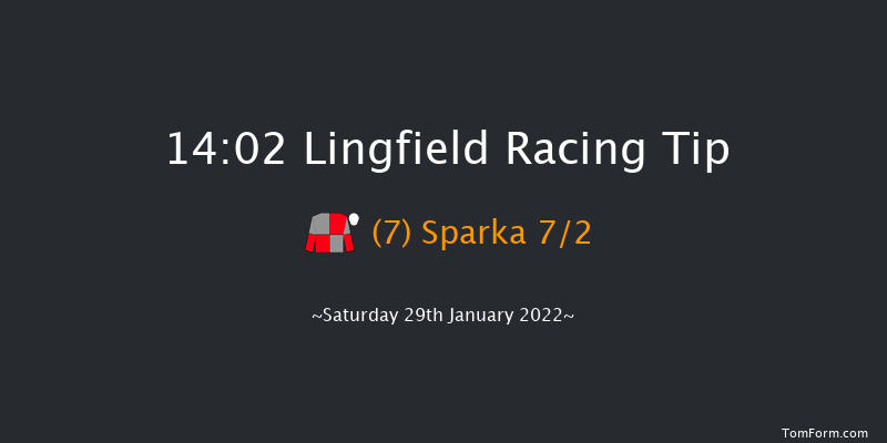 Lingfield 14:02 Handicap (Class 5) 8f Fri 28th Jan 2022