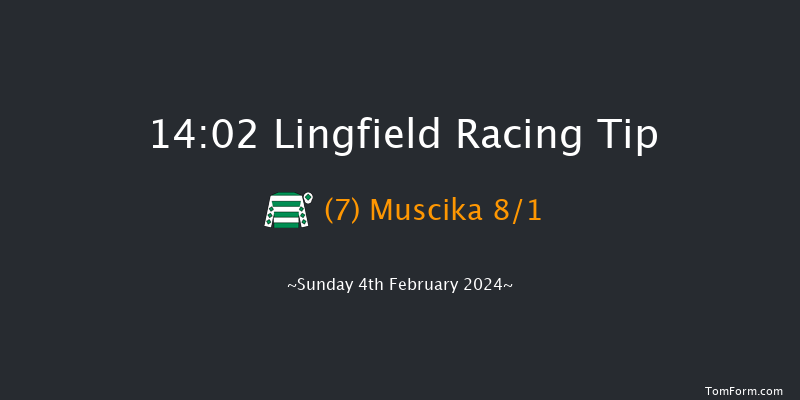 Lingfield  14:02 Handicap (Class 4) 6f Fri 2nd Feb 2024