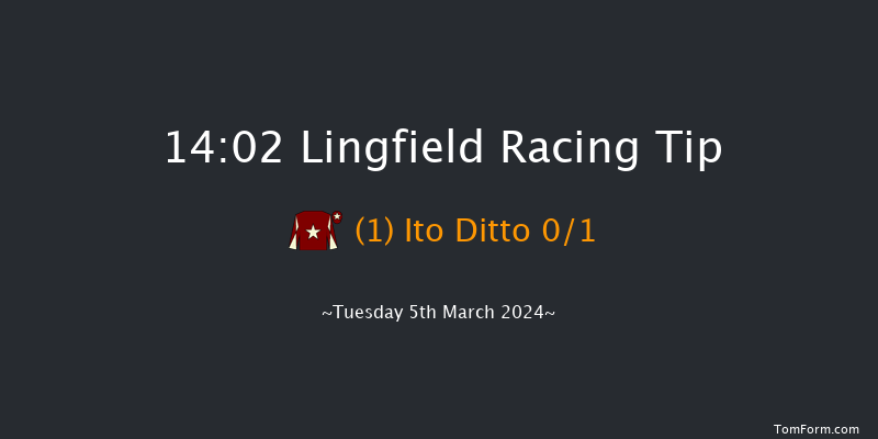 Lingfield  14:02 Handicap
Hurdle (Class 4) 20f Fri 1st Mar 2024