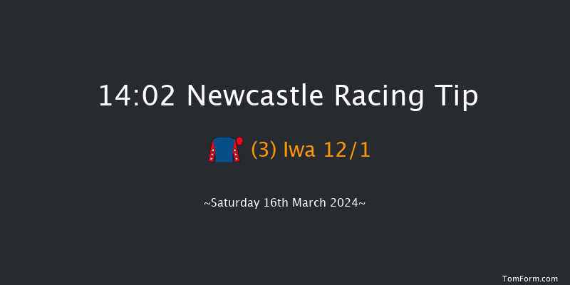 Newcastle  14:02 Handicap Chase (Class 4)
16f Fri 15th Mar 2024