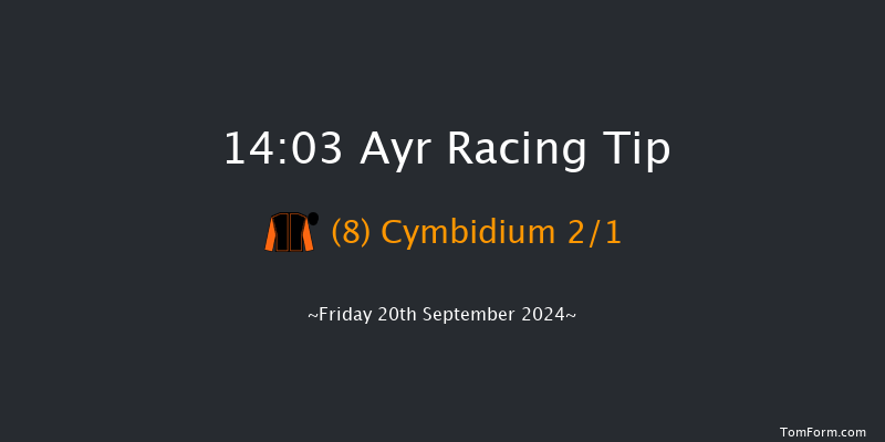 Ayr  14:03 Handicap (Class 4) 7f Thu 19th Sep 2024