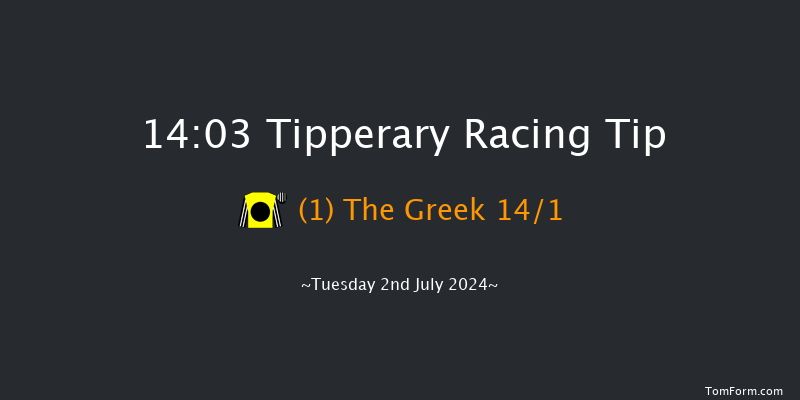 Tipperary  14:03 Handicap Chase 17f Wed 29th May 2024