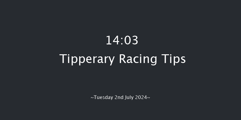 Tipperary  14:03 Handicap Chase 17f Wed 29th May 2024