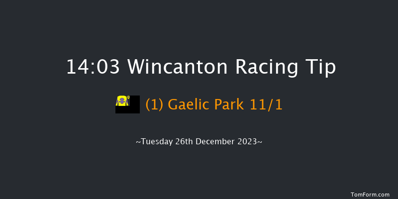 Wincanton 14:03 Handicap Chase (Class 4) 20f Tue 19th Dec 2023