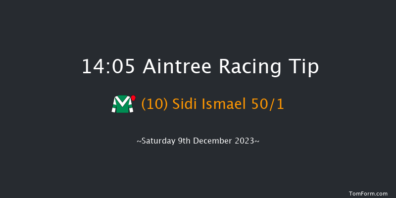 Aintree 14:05 Handicap Chase (Class 1) 26f Sat 11th Nov 2023