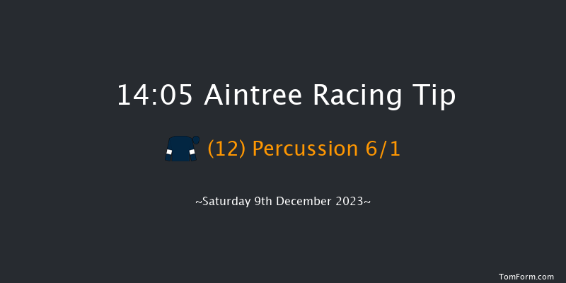 Aintree 14:05 Handicap Chase (Class 1) 26f Sat 11th Nov 2023