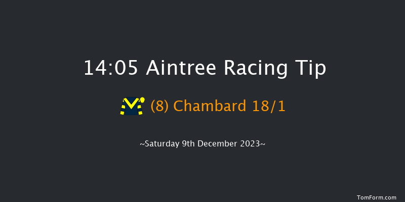 Aintree 14:05 Handicap Chase (Class 1) 26f Sat 11th Nov 2023