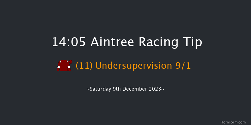 Aintree 14:05 Handicap Chase (Class 1) 26f Sat 11th Nov 2023