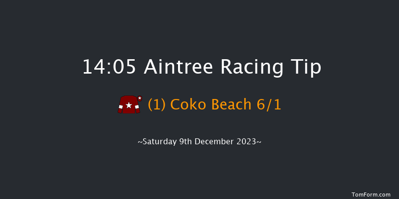 Aintree 14:05 Handicap Chase (Class 1) 26f Sat 11th Nov 2023