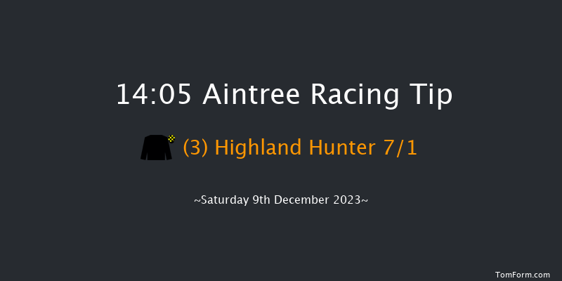 Aintree 14:05 Handicap Chase (Class 1) 26f Sat 11th Nov 2023