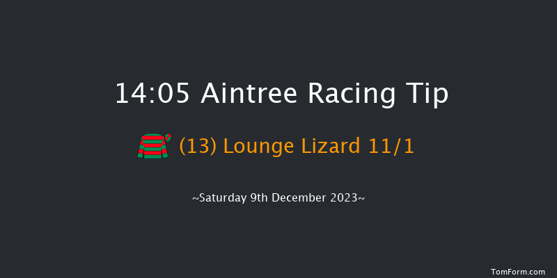 Aintree 14:05 Handicap Chase (Class 1) 26f Sat 11th Nov 2023