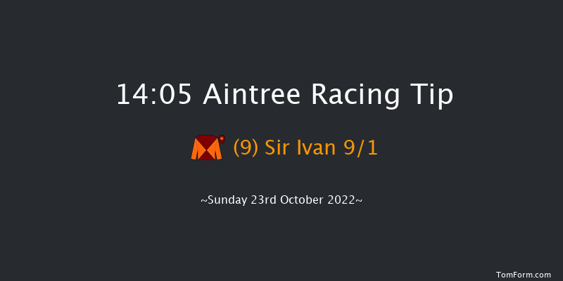 Aintree 14:05 Handicap Chase (Class 2) 25f Fri 10th Jun 2022