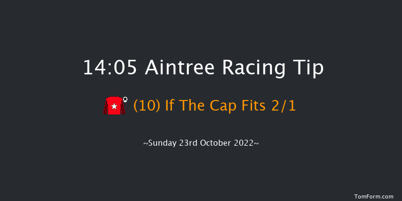 Aintree 14:05 Handicap Chase (Class 2) 25f Fri 10th Jun 2022