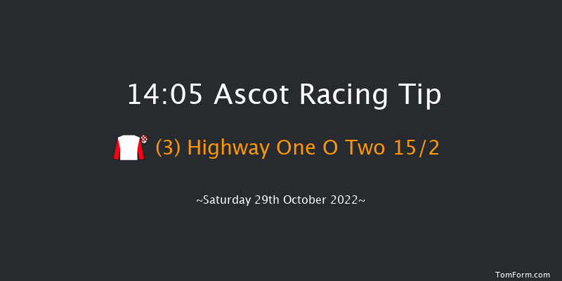 Ascot 14:05 Handicap Hurdle (Class 2) 16f Sat 15th Oct 2022