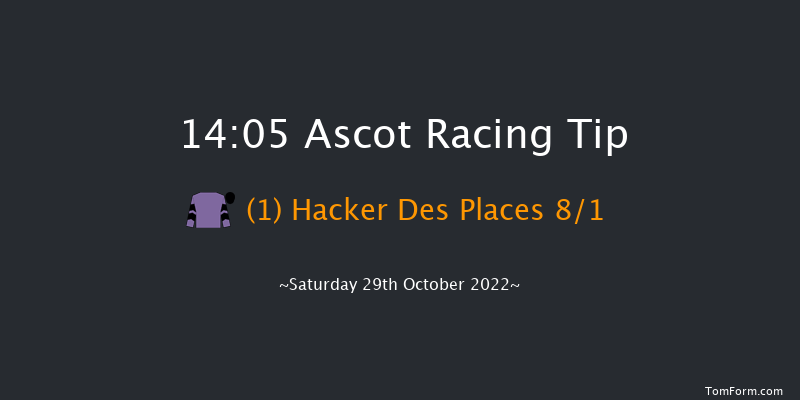 Ascot 14:05 Handicap Hurdle (Class 2) 16f Sat 15th Oct 2022