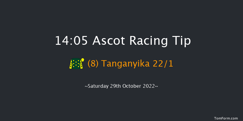 Ascot 14:05 Handicap Hurdle (Class 2) 16f Sat 15th Oct 2022