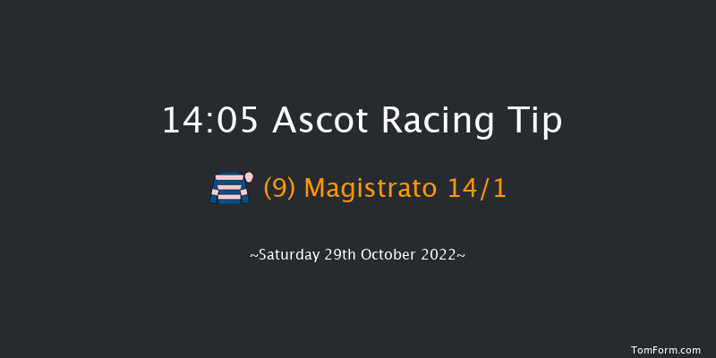 Ascot 14:05 Handicap Hurdle (Class 2) 16f Sat 15th Oct 2022