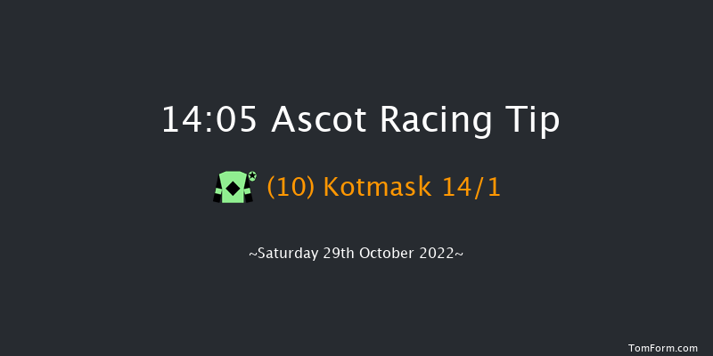 Ascot 14:05 Handicap Hurdle (Class 2) 16f Sat 15th Oct 2022