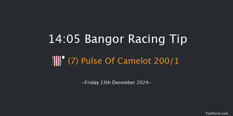 Bangor-on-dee  14:05 Maiden Hurdle (Class 3) 20f Wed 13th Nov 2024