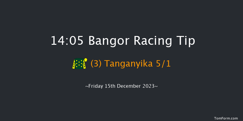 Bangor 14:05 Handicap Hurdle (Class 3) 23f Sat 2nd Dec 2023