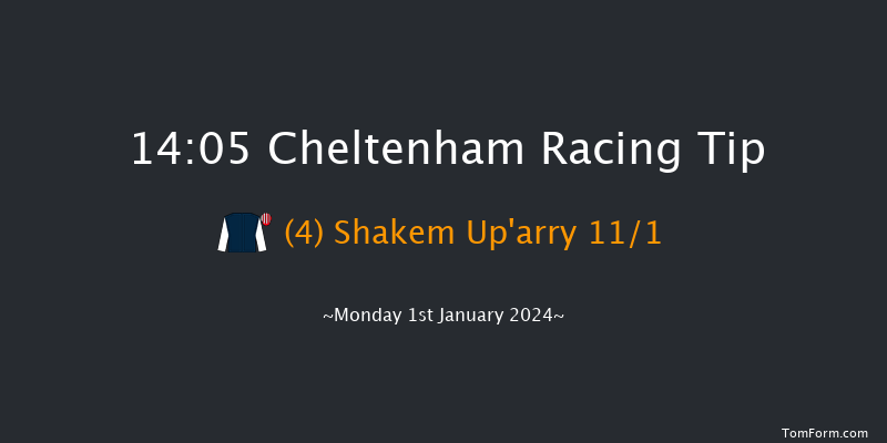 Cheltenham 14:05 Handicap Chase (Class 1) 21f Sat 16th Dec 2023