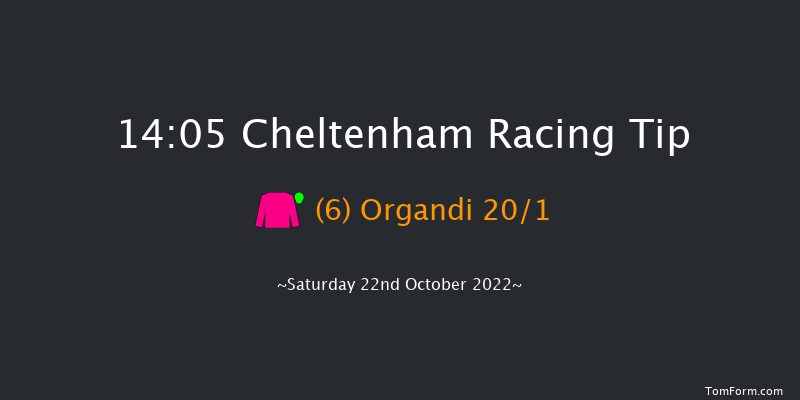 Cheltenham 14:05 Handicap Chase (Class 2) 25f Fri 21st Oct 2022