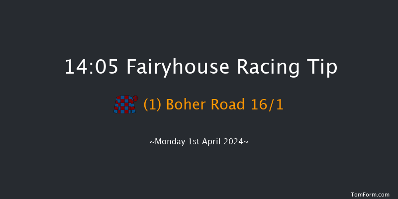 Fairyhouse  14:05 Handicap Hurdle 16f Sun 31st Mar 2024