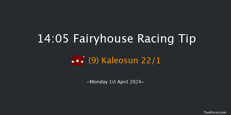 Fairyhouse  14:05 Handicap Hurdle 16f Sun 31st Mar 2024