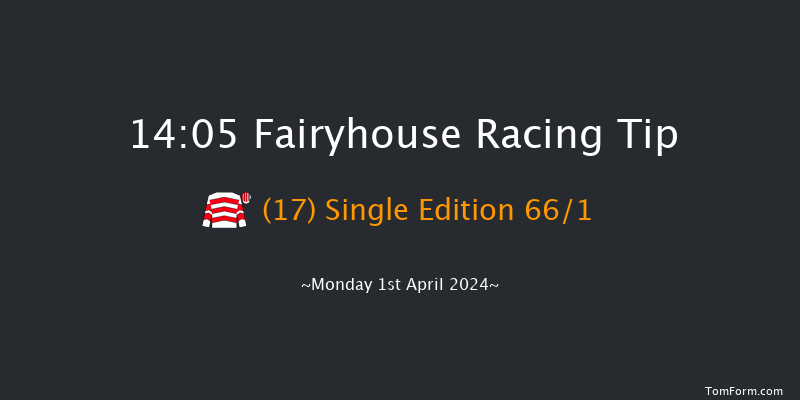 Fairyhouse  14:05 Handicap Hurdle 16f Sun 31st Mar 2024