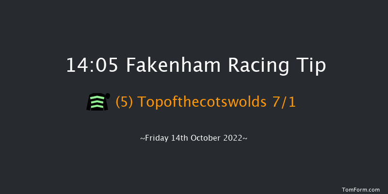 Fakenham 14:05 Handicap Chase (Class 3) 24f Sun 22nd May 2022