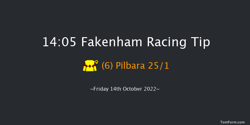 Fakenham 14:05 Handicap Chase (Class 3) 24f Sun 22nd May 2022