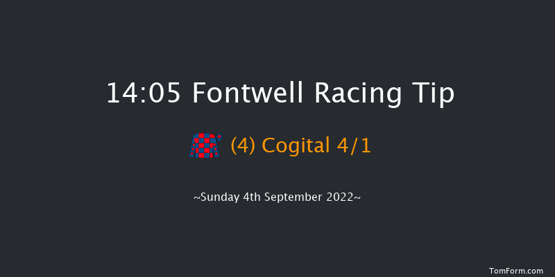 Fontwell 14:05 Handicap Hurdle (Class 3) 18f Tue 23rd Aug 2022