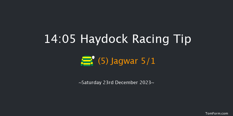 Haydock 14:05 Handicap Hurdle (Class 3) 16f Wed 6th Dec 2023