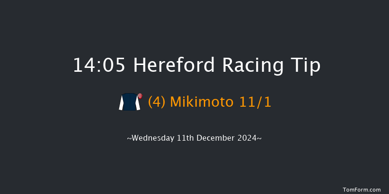 Hereford  14:05 Handicap Hurdle (Class 4) 26f Wed 27th Nov 2024