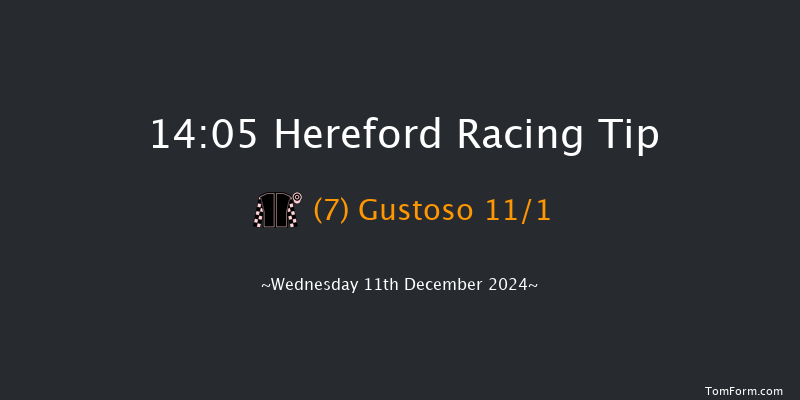 Hereford  14:05 Handicap Hurdle (Class 4) 26f Wed 27th Nov 2024