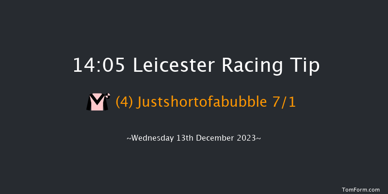 Leicester 14:05 Handicap Chase (Class 5) 23f Sun 3rd Dec 2023