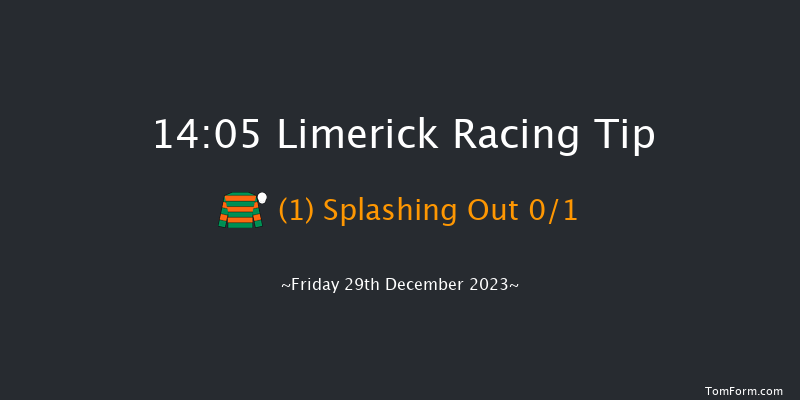 Limerick 14:05 Maiden Hurdle 16f Thu 28th Dec 2023