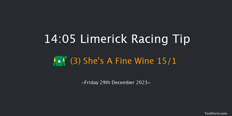 Limerick 14:05 Maiden Hurdle 16f Thu 28th Dec 2023