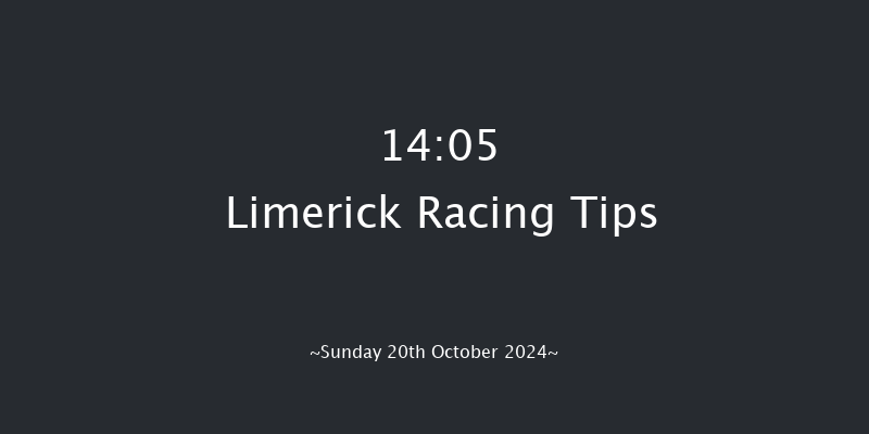 Limerick  14:05 Maiden Hurdle 16f Sat 19th Oct 2024