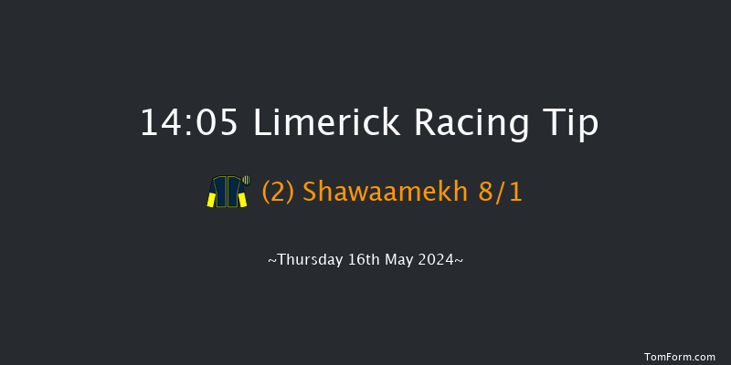 Limerick  14:05 Handicap 7f Fri 19th Apr 2024