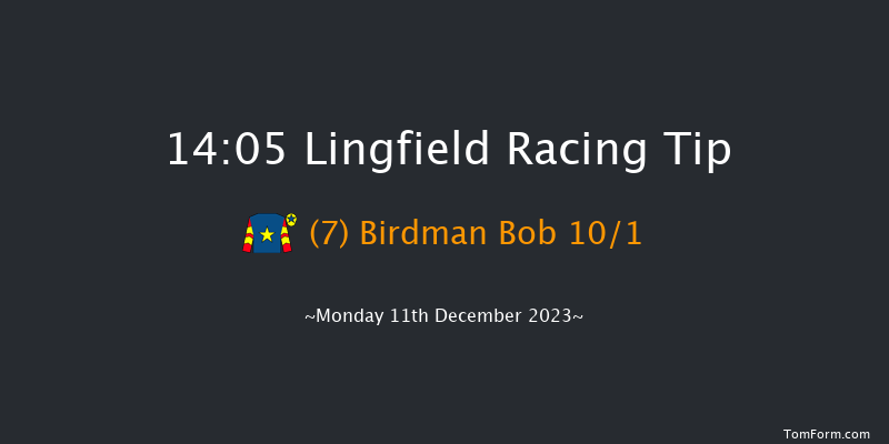 Lingfield 14:05 Handicap Hurdle (Class 4) 16f Wed 6th Dec 2023