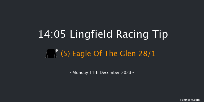 Lingfield 14:05 Handicap Hurdle (Class 4) 16f Wed 6th Dec 2023