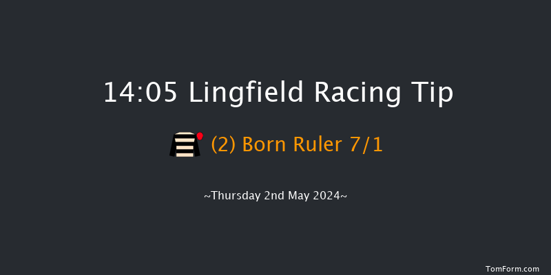 Lingfield  14:05 Handicap (Class 4) 12f Wed 10th Apr 2024