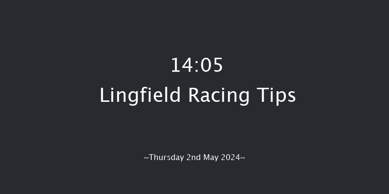 Lingfield  14:05 Handicap (Class 4) 12f Wed 10th Apr 2024