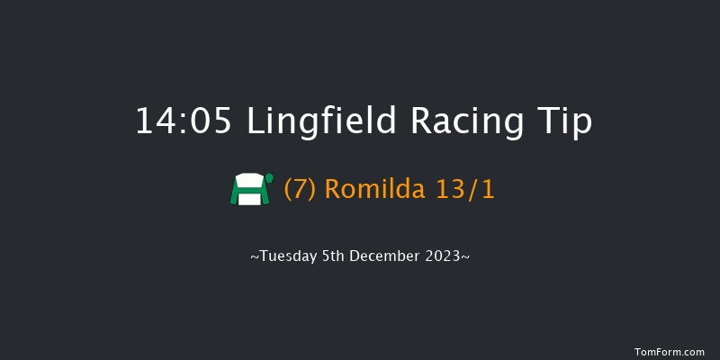 Lingfield 14:05 Handicap (Class 4) 10f Thu 30th Nov 2023