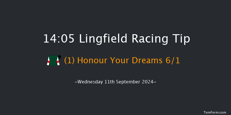 Lingfield  14:05 Handicap (Class 6) 6f  Tue 10th Sep 2024