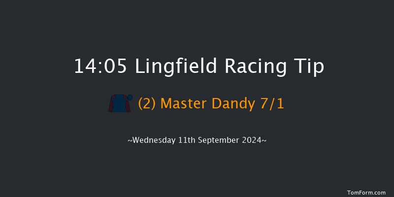 Lingfield  14:05 Handicap (Class 6) 6f  Tue 10th Sep 2024