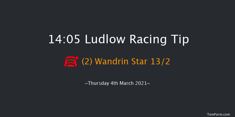 Forbra Gold Cup Handicap Chase Ludlow 14:05 Handicap Chase (Class 3) 24f Wed 24th Feb 2021